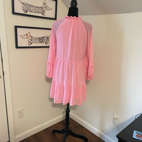 Pink Ruffled Dress - Picture 3 of 6